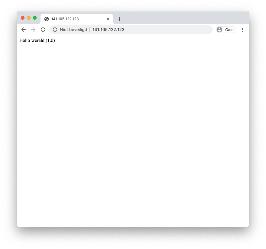 Schermafbeelding van de applicatie bereikbaar via de LoadBalancer service